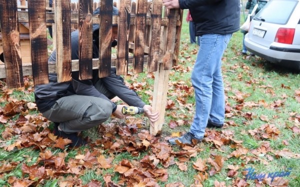 В Барановичах установили первые домики для бездомных котов