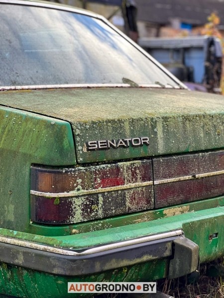 В Беларуси редкий Opel 10 лет врастал в землю и покрылся мхом. Но все равно машину купили