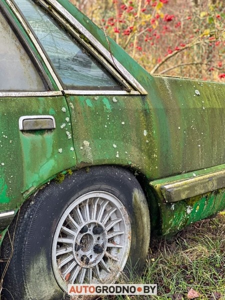 В Беларуси редкий Opel 10 лет врастал в землю и покрылся мхом. Но все равно машину купили
