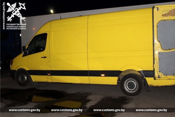 Собак и котов редких пород под видом метисов ввезли в Беларусь из Польши Собак и котов редких пород под видом метисов ввезли в Беларусь из Польши