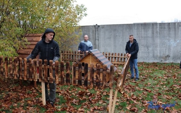 В Барановичах установили первые домики для бездомных котов