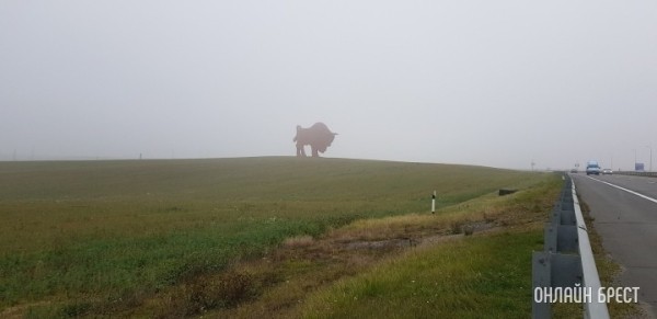 Ремонт гигантской скульптуры зубра у трассы М1 закончат к середине декабря