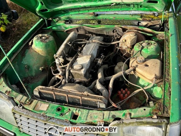 В Беларуси редкий Opel 10 лет врастал в землю и покрылся мхом. Но все равно машину купили