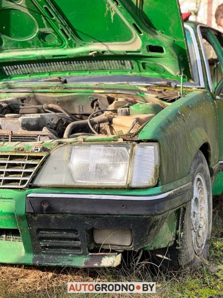 В Беларуси редкий Opel 10 лет врастал в землю и покрылся мхом. Но все равно машину купили