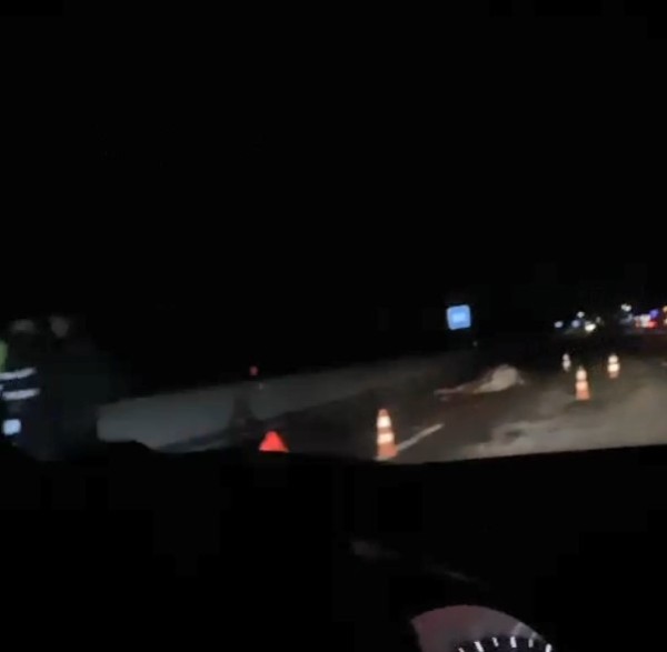 Маршрутка в дереве, лось пал: серьезная авария на трассе М6