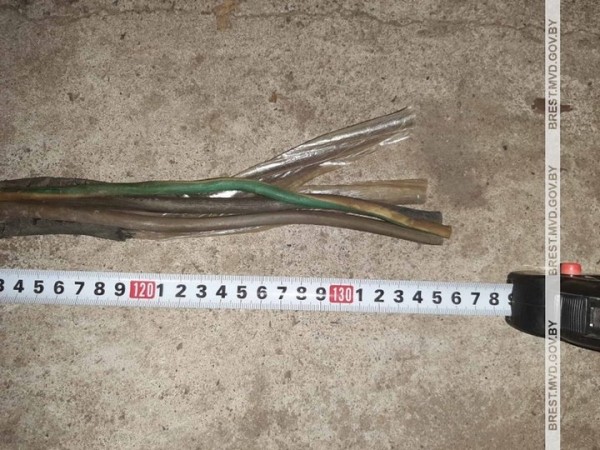 Ущерб оценивается на сумму почти в 900 рублей. Житель Брестской области помогал по хозяйству и потихоньку воровал из гаража.