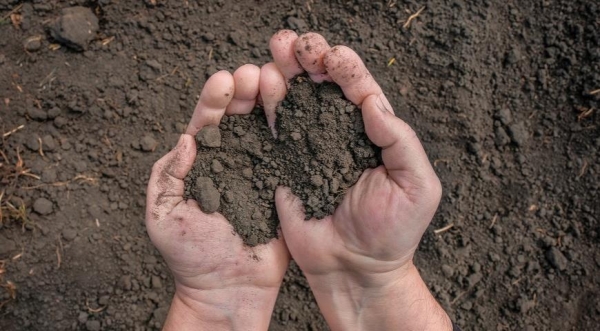 «Рвал на себе одежду и ел почву». Белорус под кайфом бегал по проезжей части «Рвал на себе одежду и ел почву». Белорус под кайфом бегал по проезжей части