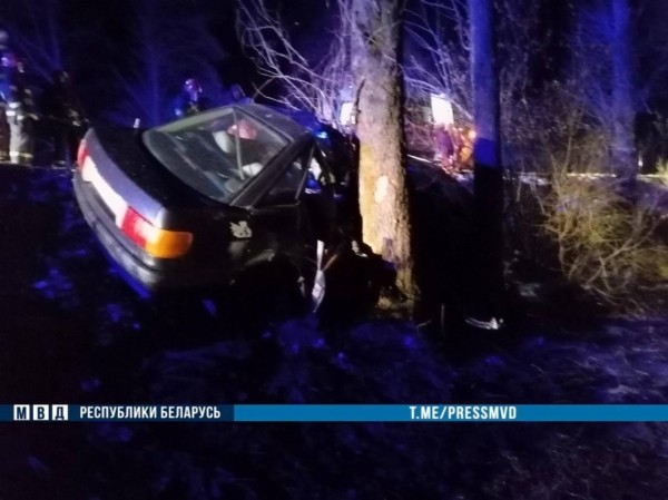 Ночью в Кобринском районе 18-летний водитель Audi врезался в дерево - погиб пассажир