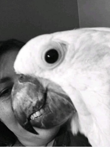 20 неоднозначных фото