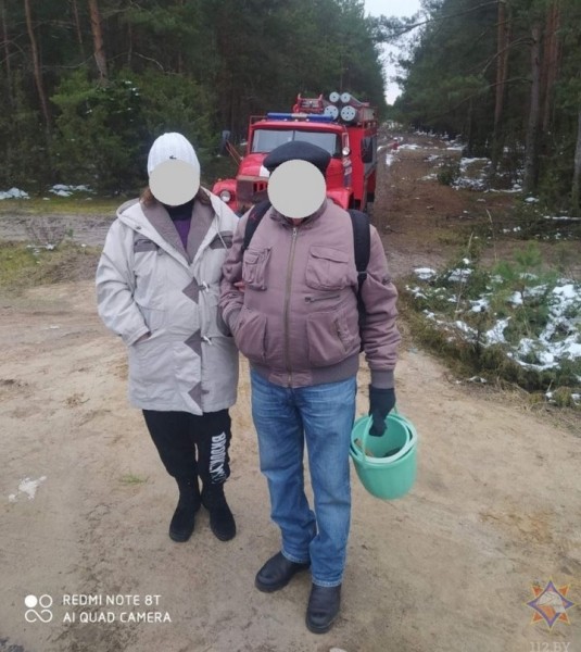 В Брестском районе супруги отправились за грибами и заблудились В Брестском районе супруги отправились за грибами и заблудились