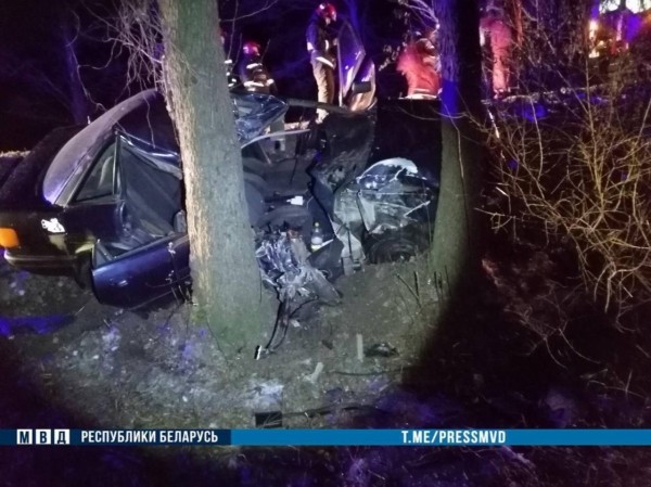 Ночью в Кобринском районе 18-летний водитель Audi врезался в дерево - погиб пассажир