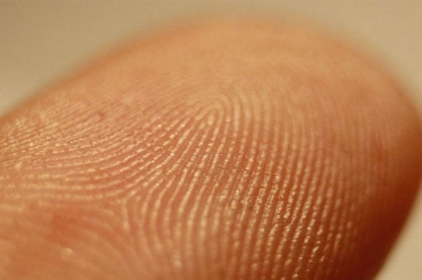 Для чего нам узоры на кончиках пальцев и полоски на ладонях? Отвечаем на популярный вопрос