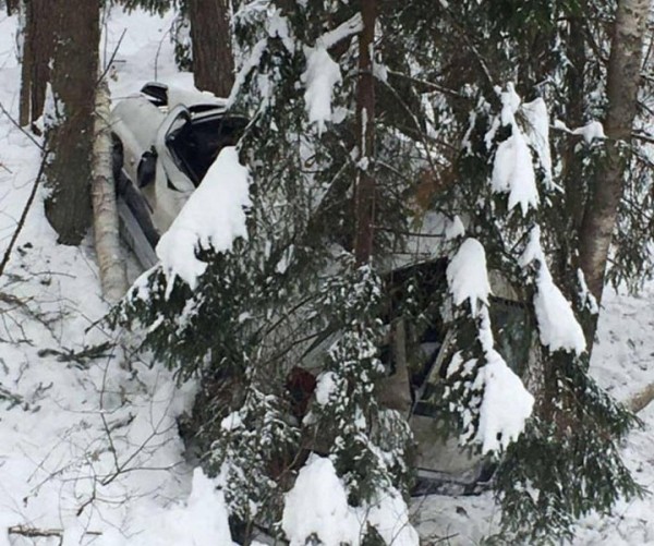 В Брестской области водитель авто не справился с управлением и врезался в дерево