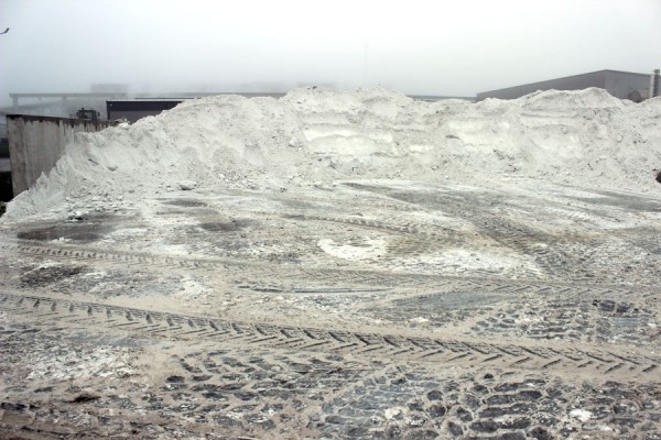 Комплекс по выращиванию грибниц в Кобринском районе замещает импорт и закрывает более половины потребностей внутреннего рынка Комплекс по выращиванию грибниц в Кобринском районе замещает импорт и закрывает более половины потребностей внутреннего рынка