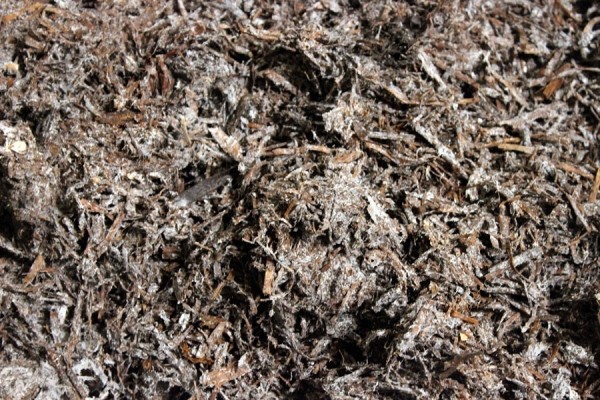 Комплекс по выращиванию грибниц в Кобринском районе замещает импорт и закрывает более половины потребностей внутреннего рынка Комплекс по выращиванию грибниц в Кобринском районе замещает импорт и закрывает более половины потребностей внутреннего рынка