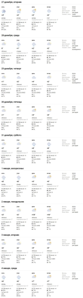 Какая погода ждет брестчан на Новый год