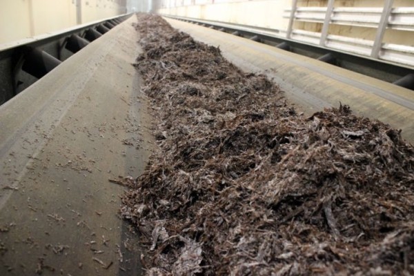 Комплекс по выращиванию грибниц в Кобринском районе замещает импорт и закрывает более половины потребностей внутреннего рынка Комплекс по выращиванию грибниц в Кобринском районе замещает импорт и закрывает более половины потребностей внутреннего рынка