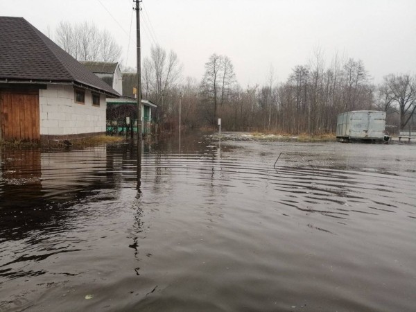 Уровень воды в реках Бреста продолжает подниматься Уровень воды в реках Бреста продолжает подниматься