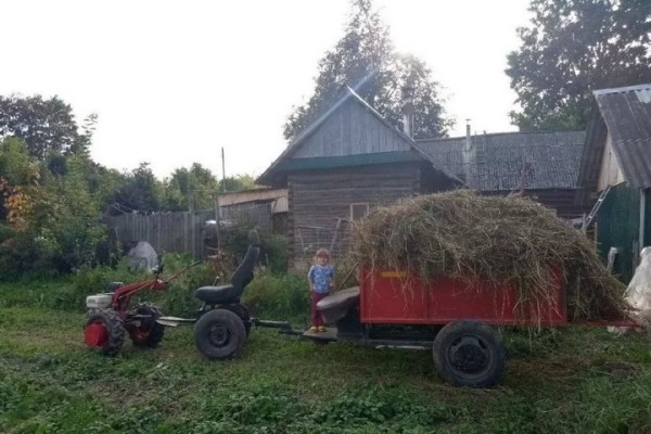 Нашли водителя, ехавшего на полумашине. Чем для него обернулась поездка Нашли водителя, ехавшего на полумашине. Чем для него обернулась поездка