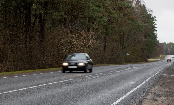 От испуга до «уголовки». Разбираемся, накажут ли водителя, если он сбил животное в зоне действия особого знака