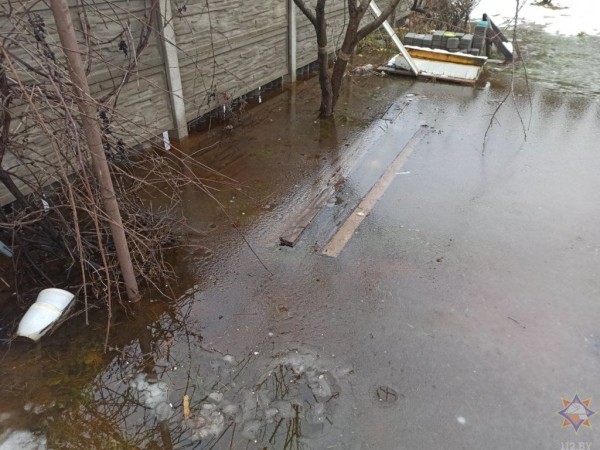 Подтопления более 100 дачных участков в Бресте