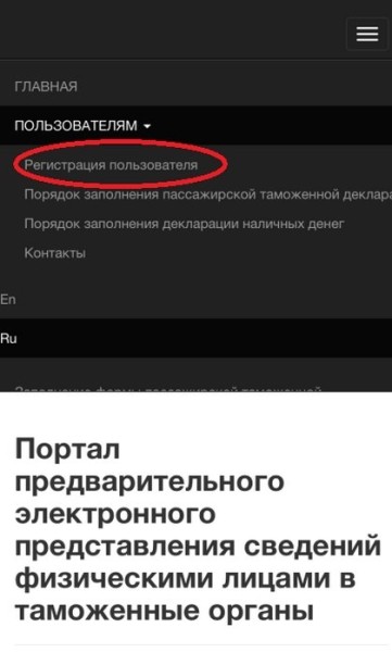 Как физическим лицам ускорить прохождение границы. Вот способ