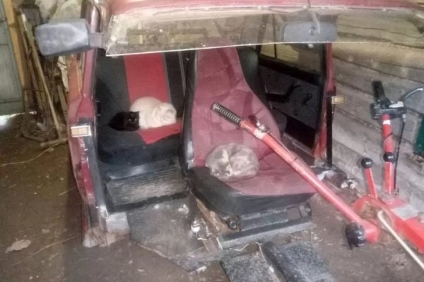 Нашли водителя, ехавшего на полумашине. Чем для него обернулась поездка Нашли водителя, ехавшего на полумашине. Чем для него обернулась поездка