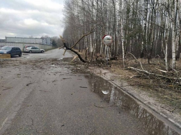 Не только утеплитель. Какие еще проблемы создал ветер в Бресте Не только утеплитель. Какие еще проблемы создал ветер в Бресте