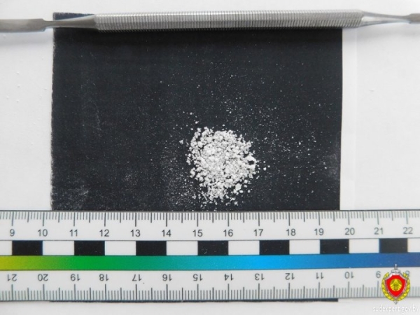 «Вписка» в Могилеве закончилась уголовным делом благодаря бдительным соседям «Вписка» в Могилеве закончилась уголовным делом благодаря бдительным соседям