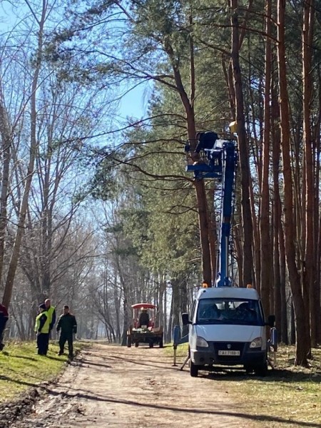 В одном из парков в Бресте установили скворечники, изготовленные школьниками города