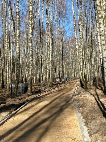 В одном из парков в Бресте установили скворечники, изготовленные школьниками города