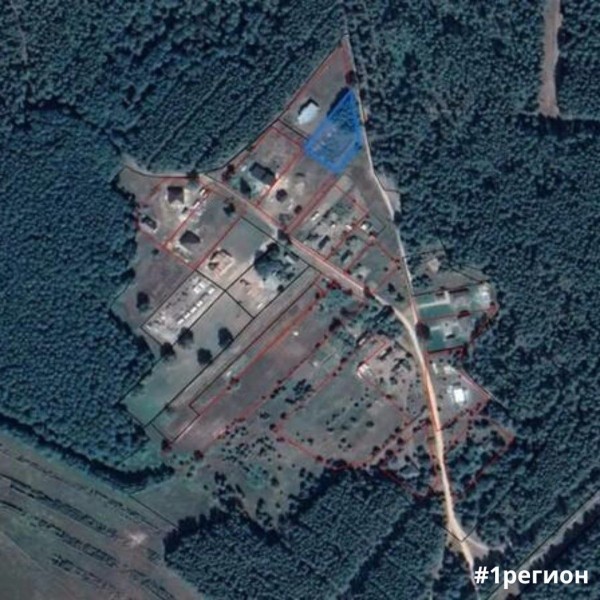 Участок в Беловежской пуще ушел с молотка за рекордную цену Участок в Беловежской пуще ушел с молотка за рекордную цену