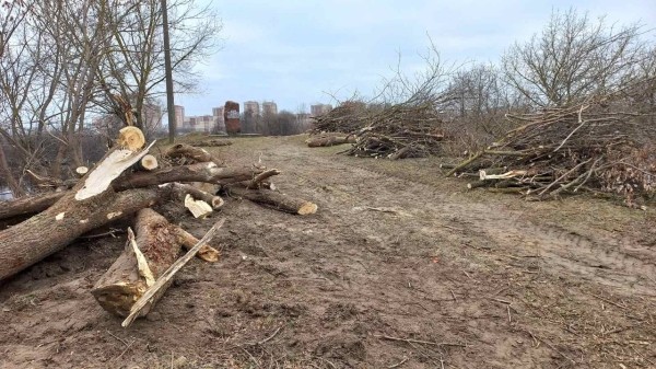 Градоначальник Бреста рассказал, что за работы ведутся в районе Суворовского моста