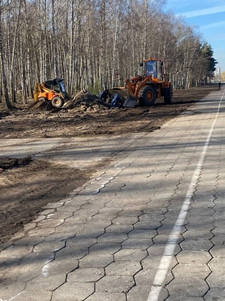 В одном из парков в Бресте установили скворечники, изготовленные школьниками города