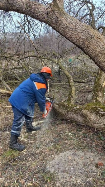 Градоначальник Бреста рассказал, что за работы ведутся в районе Суворовского моста