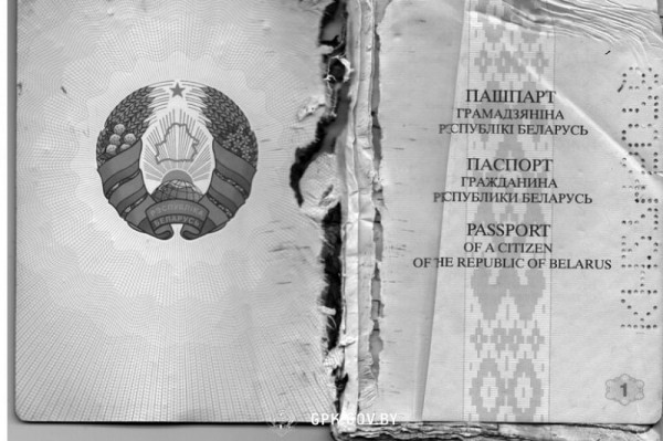 Муж, не желая отпускать жену и ребенка, порвал ее паспорт и другие документы. Случай в Брестской области