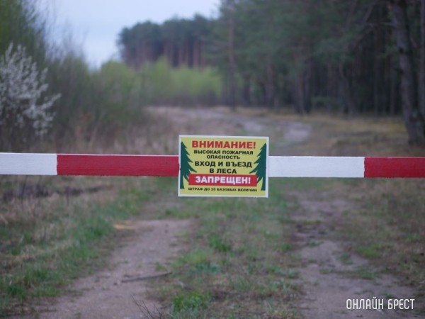 Минлесхоз будет уведомлять белорусов через СМС о запретах на посещение лесов Минлесхоз будет уведомлять белорусов через СМС о запретах на посещение лесов