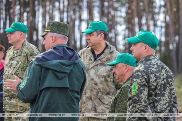 Более 15 тыс. жителей Брестской области поддержали акцию «Неделя леса»