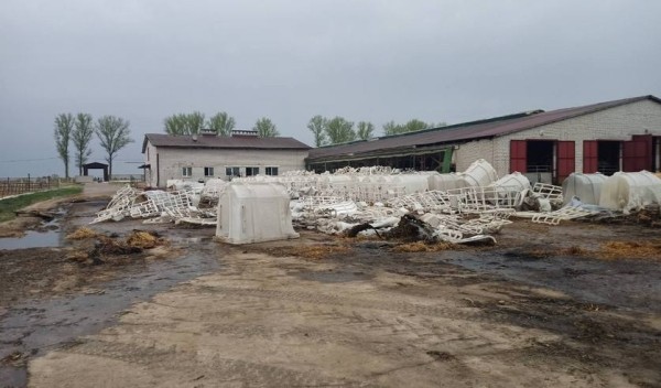 В Пружанском районе в огне погибли телята В Пружанском районе в огне погибли телята