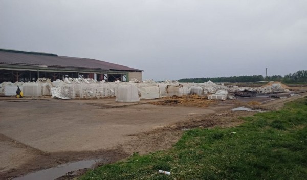 В Пружанском районе в огне погибли телята В Пружанском районе в огне погибли телята