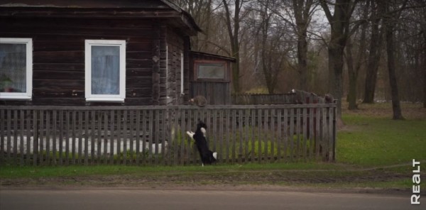 «Приехал отдохнуть — и остался жить». Молодой белорус поселился в деревне, завел хозяйство и делает сыр «Приехал отдохнуть — и остался жить». Молодой белорус поселился в деревне, завел хозяйство и делает сыр