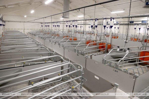 В Брестской области планируют построить или реконструировать 67 животноводческих комплексов В Брестской области планируют построить или реконструировать 67 животноводческих комплексов