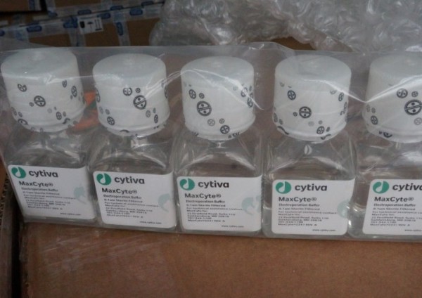 Раствор для электропорации стоимостью порядка 35 тыс. рублей пытались незаконно переместить из Германии. Нарушение выявили брестские таможенники Раствор для электропорации стоимостью порядка 35 тыс. рублей пытались незаконно переместить из Германии. Нарушение выявили брестские таможенники