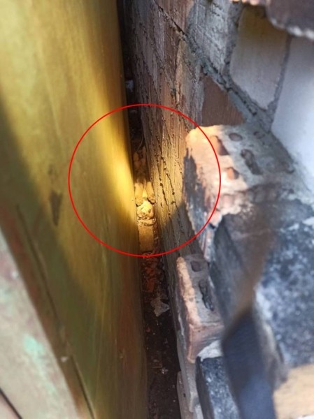 Брестские спасатели помогли четвероногому «заложнику»