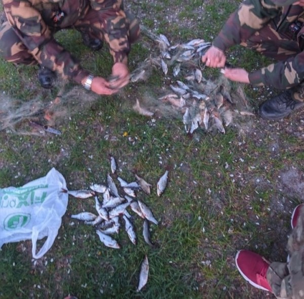 В Брестской области на Погостском озере задержан браконьер