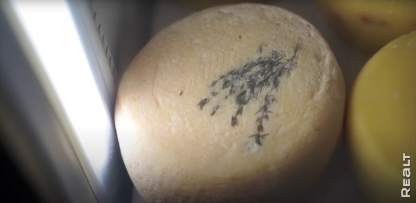 «Приехал отдохнуть — и остался жить». Молодой белорус поселился в деревне, завел хозяйство и делает сыр «Приехал отдохнуть — и остался жить». Молодой белорус поселился в деревне, завел хозяйство и делает сыр