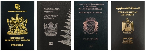 Какой цвет паспорта самый популярный в мире – рейтинг