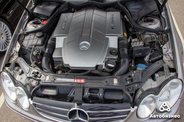 «Нет года выпуска, есть состояние». В Беларуси владельцы старых Mercedes собрались на большую встречу «Нет года выпуска, есть состояние». В Беларуси владельцы старых Mercedes собрались на большую встречу