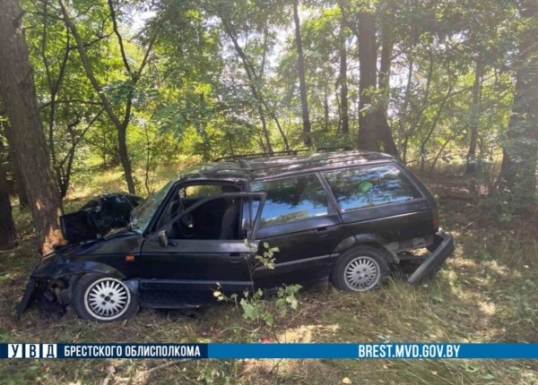 В Столинском районе автомобиль врезался в дерево В Столинском районе автомобиль врезался в дерево