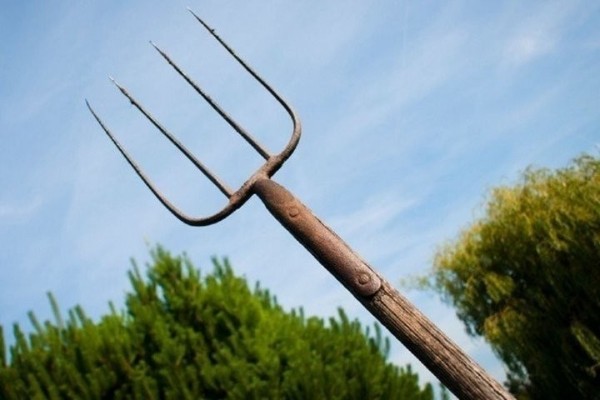 Пенсионерка бросилась на соседа с вилами, а тот защищался триммером Пенсионерка бросилась на соседа с вилами, а тот защищался триммером